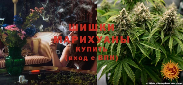 spice Володарск