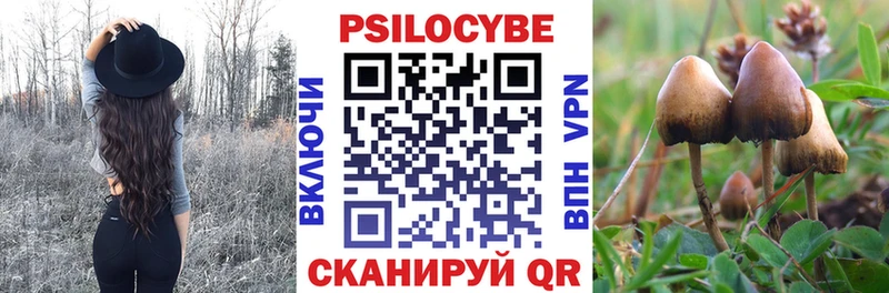 наркотики  Гусиноозёрск  Псилоцибиновые грибы Cubensis 